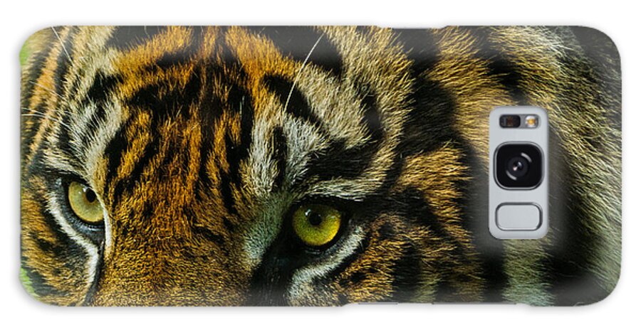 Tiger Galaxy Case featuring the photograph Tiger by John Johnson