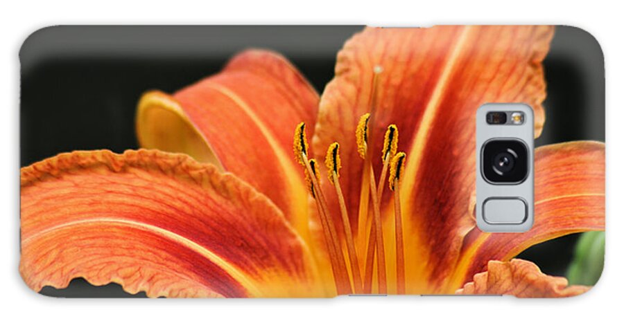 Tiger Lily Galaxy Case featuring the photograph Tiger Lily by Stan Reckard