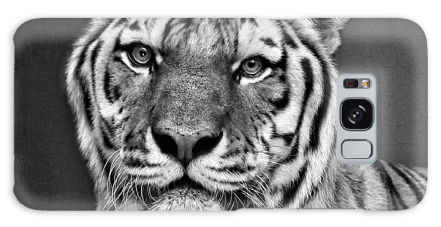 Tiger Galaxy Case featuring the photograph Tiger Portrait - Black and White by Nikolyn McDonald
