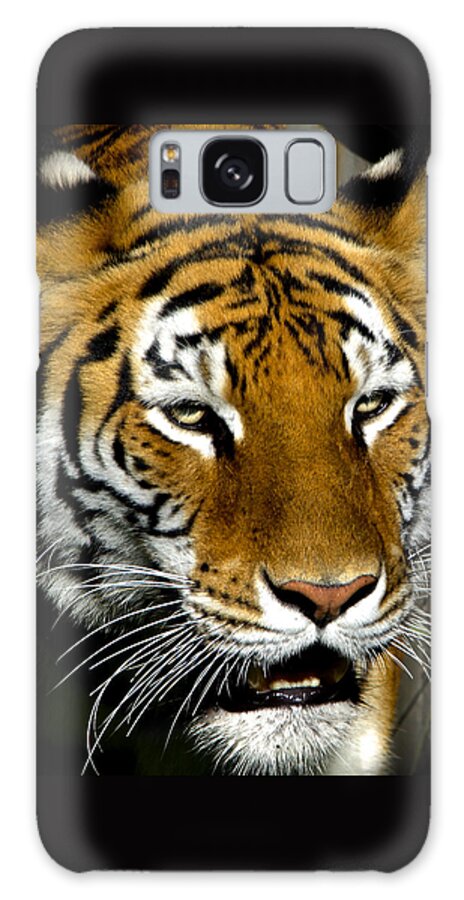 Bengal Tiger Galaxy Case featuring the photograph Tiger Tiger Burning Bright by Venetia Featherstone-Witty