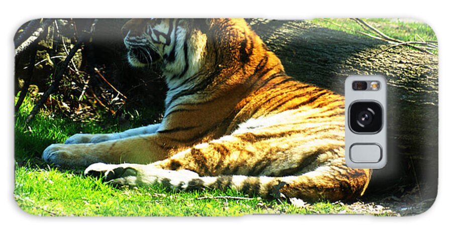 Tiger Galaxy Case featuring the photograph Tiger Too by M Three Photos