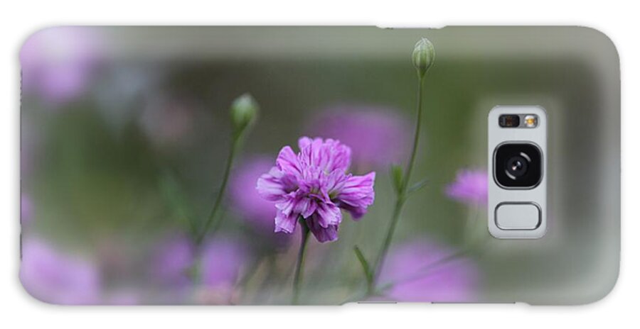 Flowers Galaxy Case featuring the photograph Tiny focus by Yumi Johnson