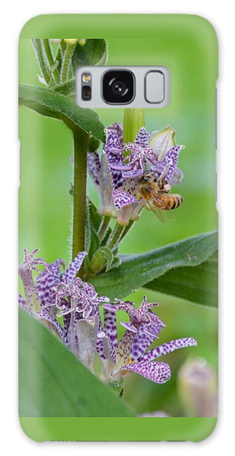 Asiatic Toad Lily Galaxy S8 Case featuring the photograph Toad Lily and Hover Fly by Kristin Hatt