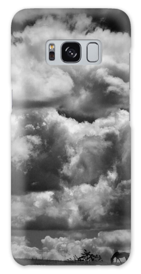 Flatlandsfoto Galaxy Case featuring the photograph Top of the World by Joan Davis