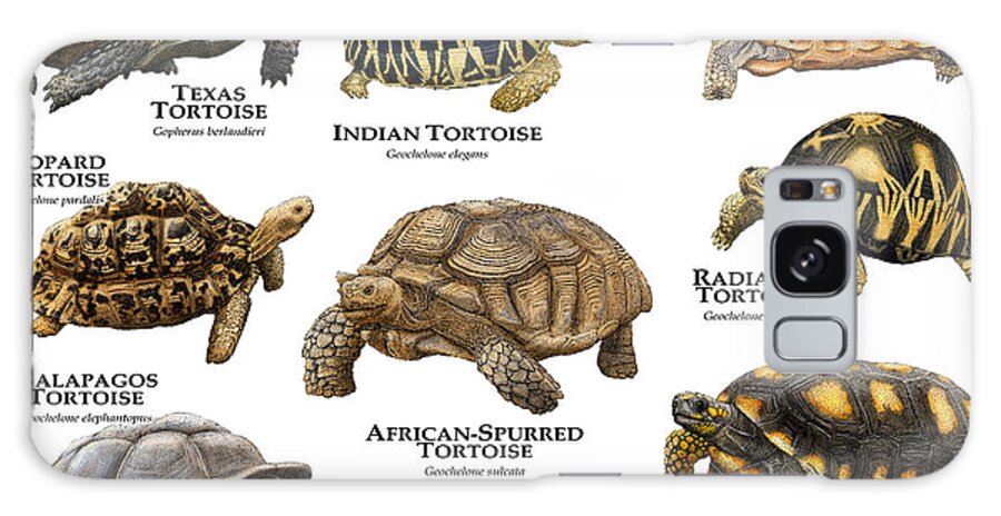 African Spurred Tortoise Galaxy Case featuring the photograph Tortoises Of The World by Roger Hall