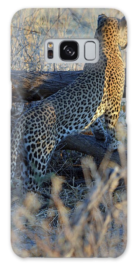 Leopard Galaxy S8 Case featuring the photograph Total Attention by Allan McConnell