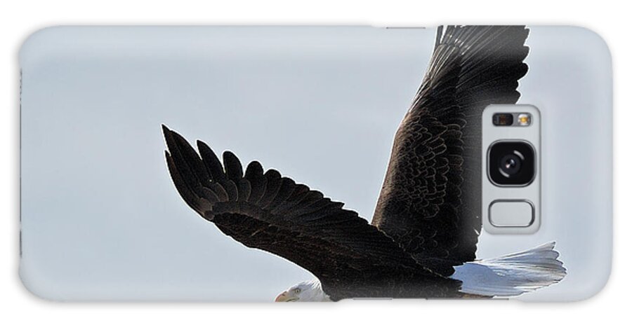 Bald Eagle Galaxy Case featuring the photograph Tower Road Bald Eagle by Stephen Johnson