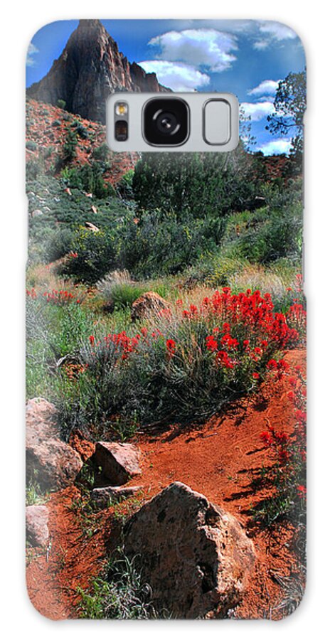 Landscape Galaxy S8 Case featuring the photograph Trail to the Watchman by Barbara Manis