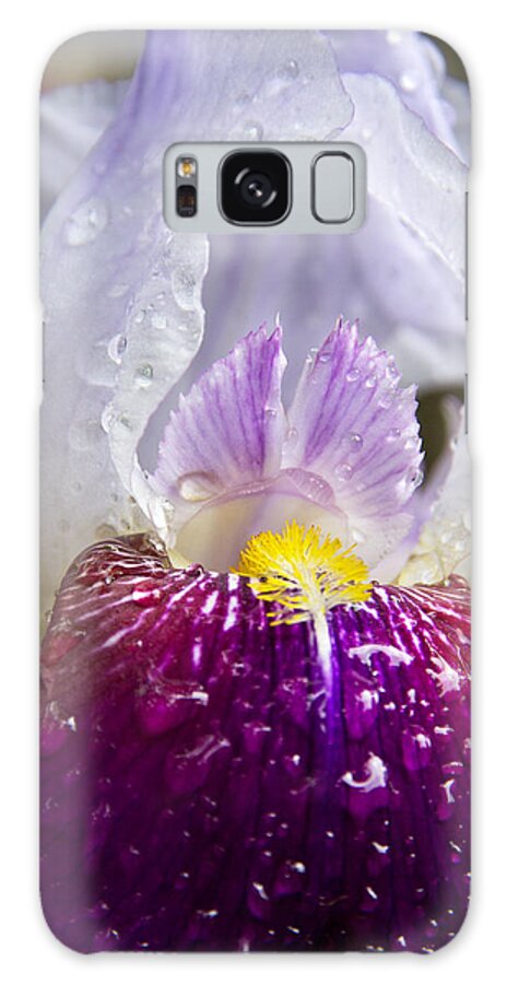 Translucent Galaxy Case featuring the photograph Translucent by Jemmy Archer