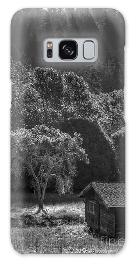 Tree Galaxy Case featuring the photograph Tree and Barn on Foggy Morning by Morgan Wright