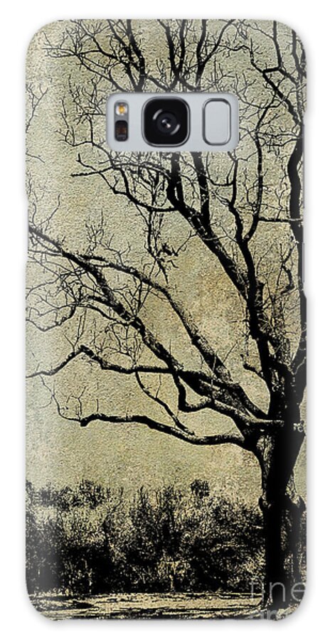Nature Galaxy S8 Case featuring the photograph Tree before Spring by Dawn Gari