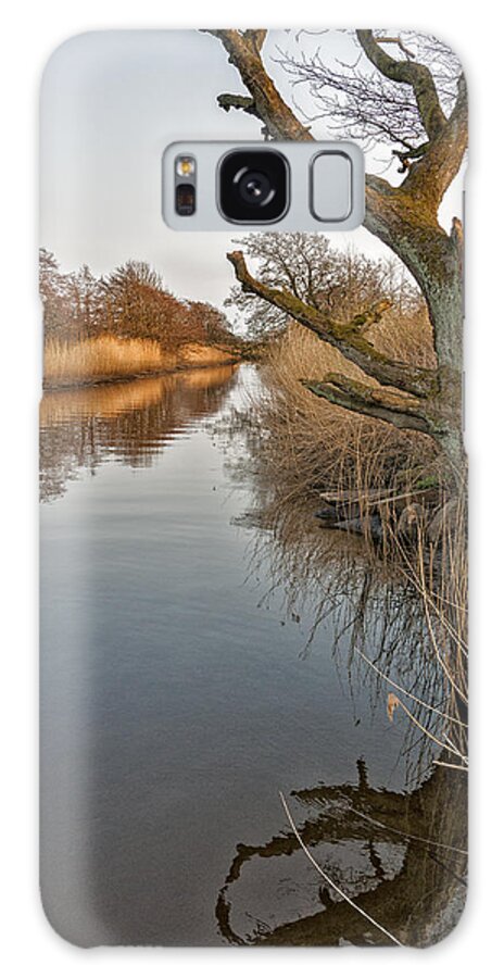 Tree Galaxy Case featuring the photograph Tree by the river by Mike Santis