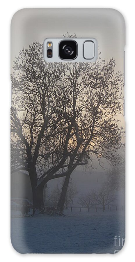 Tree Galaxy Case featuring the photograph Tree in the foggy winter landscape by Amanda Mohler