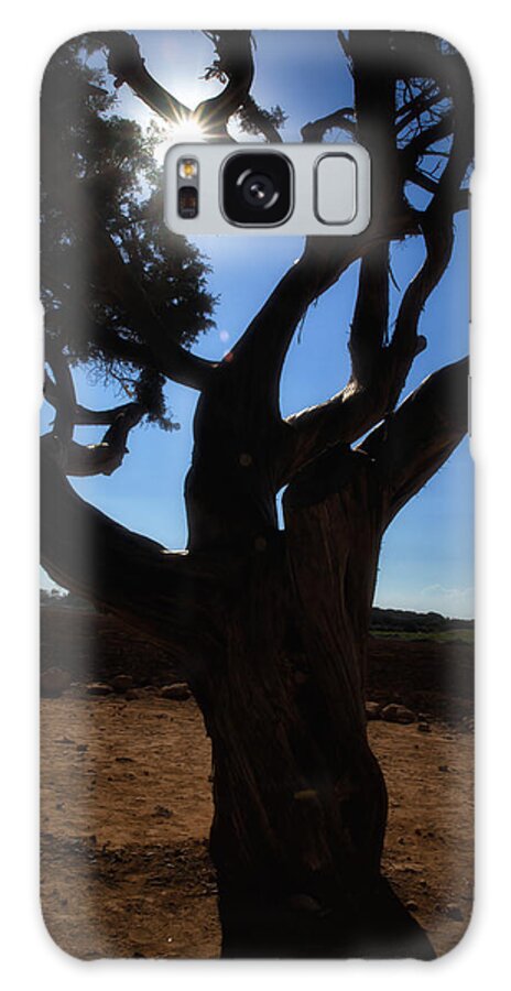 Tree Galaxy Case featuring the photograph Tree silhouette by Mike Santis