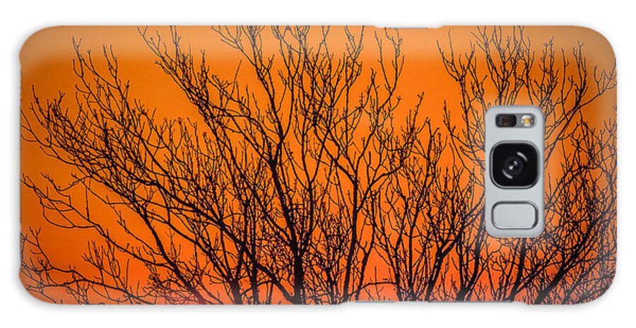 Tree Galaxy Case featuring the photograph Tree Silhouetted by Irish Sunrise by James Truett
