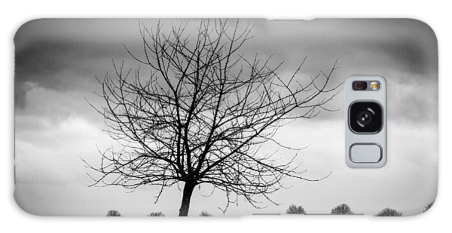 Tree Galaxy Case featuring the photograph Trees black and white by Matthias Hauser