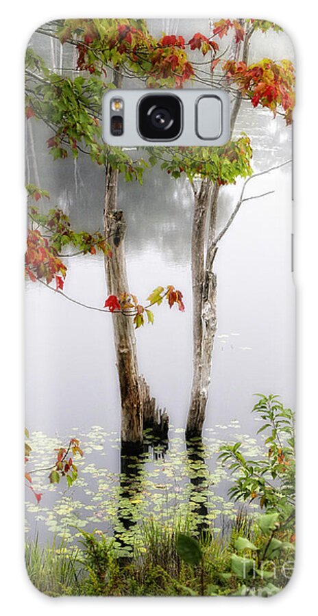 Maine Galaxy Case featuring the photograph Trees In Fog by Timothy Hacker