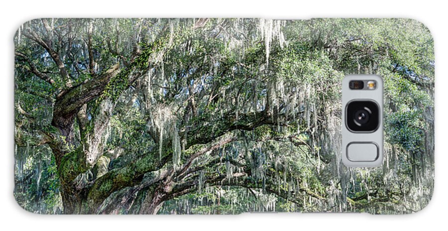 Magnolia Plantation Galaxy Case featuring the photograph Trees of Magnolia by Walt Baker