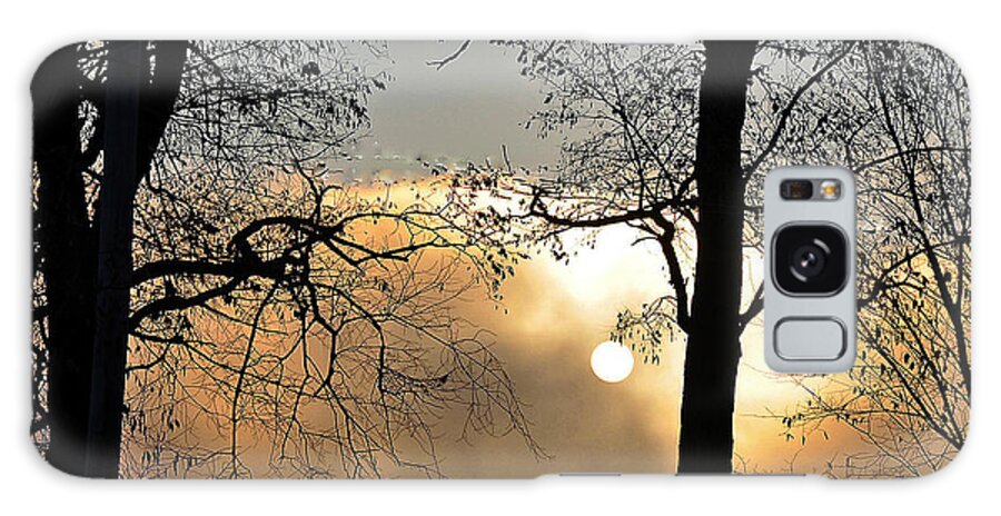 Trees Galaxy S8 Case featuring the photograph Trees on Misty Morning by Phyllis Meinke