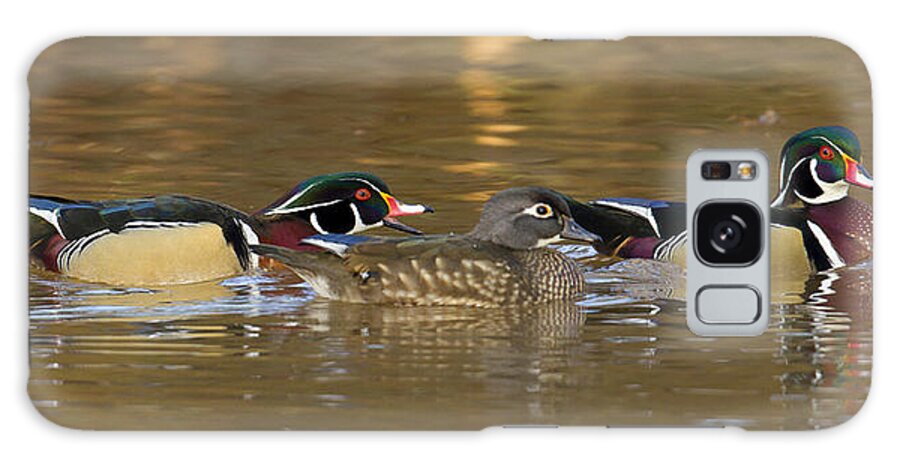 Duck Galaxy Case featuring the photograph Trio by Jim E Johnson