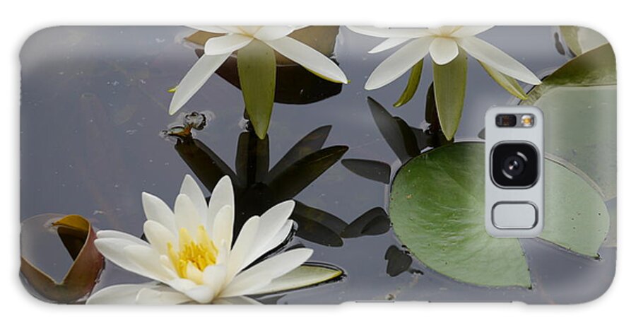 White Lilies Galaxy Case featuring the photograph Trio of Lilies by Jane Ford