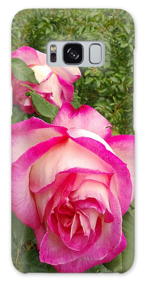 Rose Galaxy Case featuring the photograph Triplets by Claudia Goodell