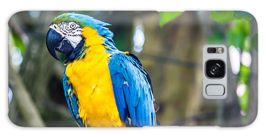 Bird Galaxy Case featuring the photograph Tropical Parrot by Sara Frank