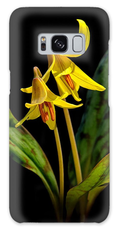 Trout Lilies Galaxy S8 Case featuring the photograph Trout Lilies by Carolyn Derstine