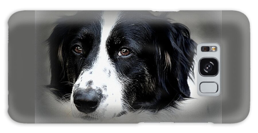 Dog Galaxy Case featuring the photograph True Companion by Melanie Lankford Photography