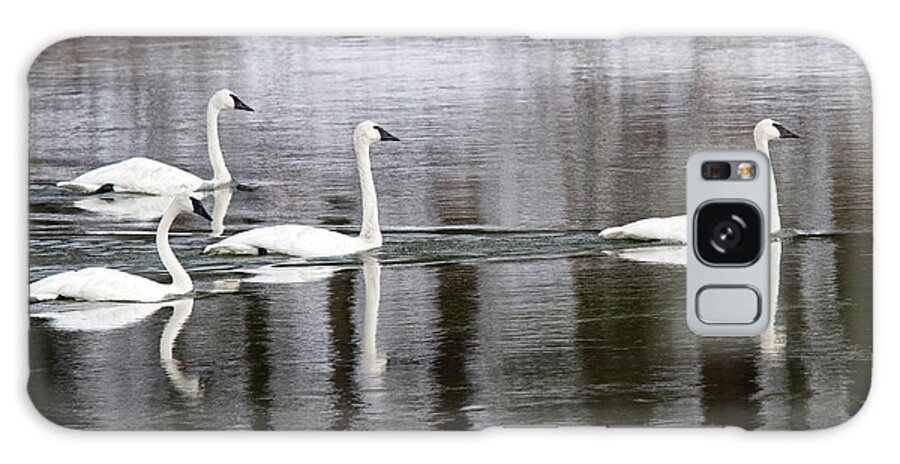 Swan Galaxy Case featuring the photograph Trumpeter V by Shari Sommerfeld