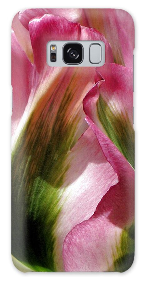 Tulip Galaxy Case featuring the photograph Tulip by Andrea Lazar