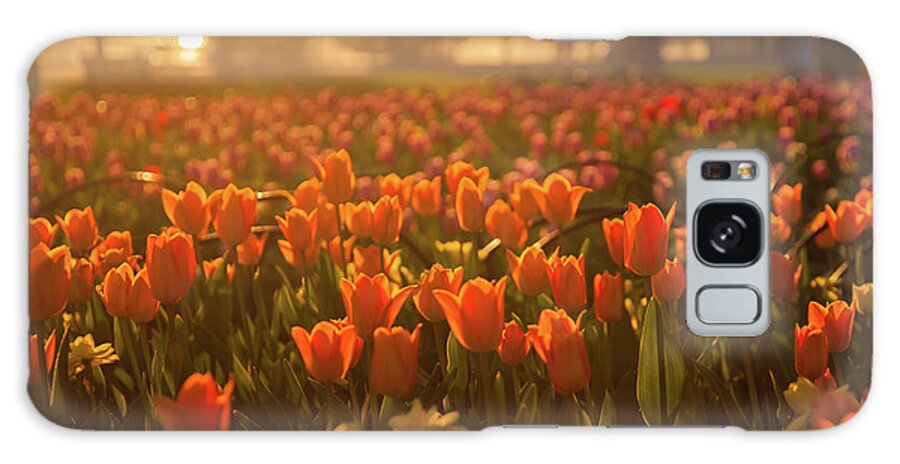 Outdoors Galaxy Case featuring the photograph Tulip Festival In Ottawa by Alexandre Deslongchamps