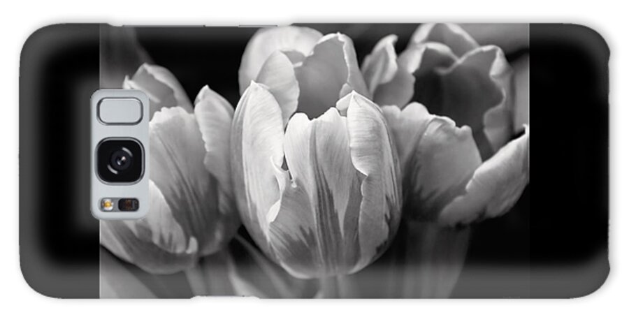 Tulip Galaxy Case featuring the photograph Tulip Flowers Black and White by Jennie Marie Schell