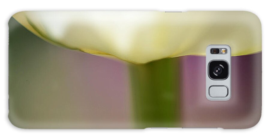 Tulip Galaxy Case featuring the photograph Tulip in Abstraction by JoAnn Lense