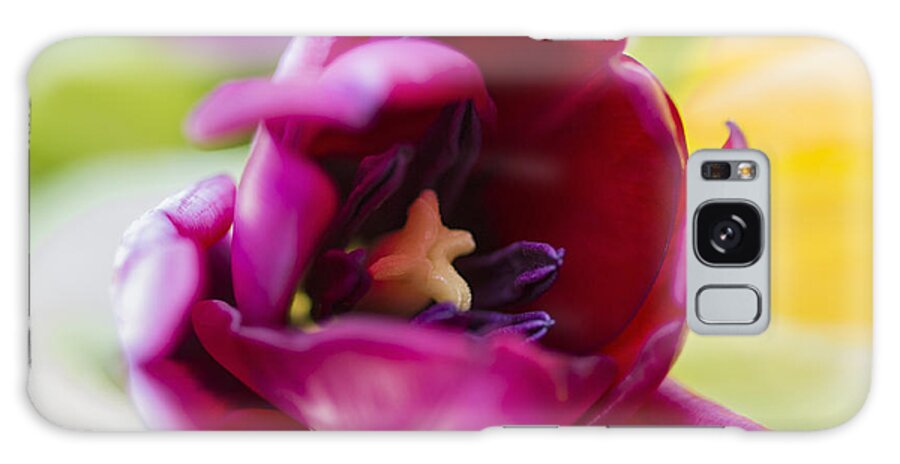 Flora Galaxy Case featuring the photograph Tulip by Paulo Goncalves