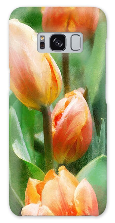 Tulips Spring Flower Bloom Bulb Bud Blooming Blossom Garden Bed Galaxy Case featuring the digital art Tulip Quartet by Frances Miller