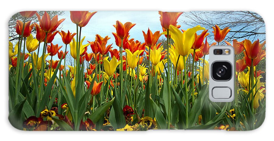 Flowers Galaxy Case featuring the photograph Tulip Time by Farol Tomson