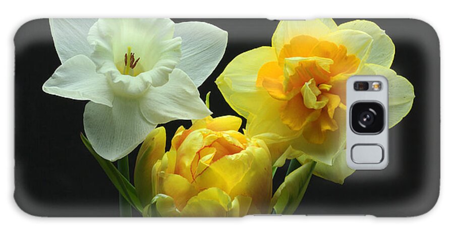Tulip Galaxy Case featuring the photograph Tulip with Daffodils by Robert Pilkington