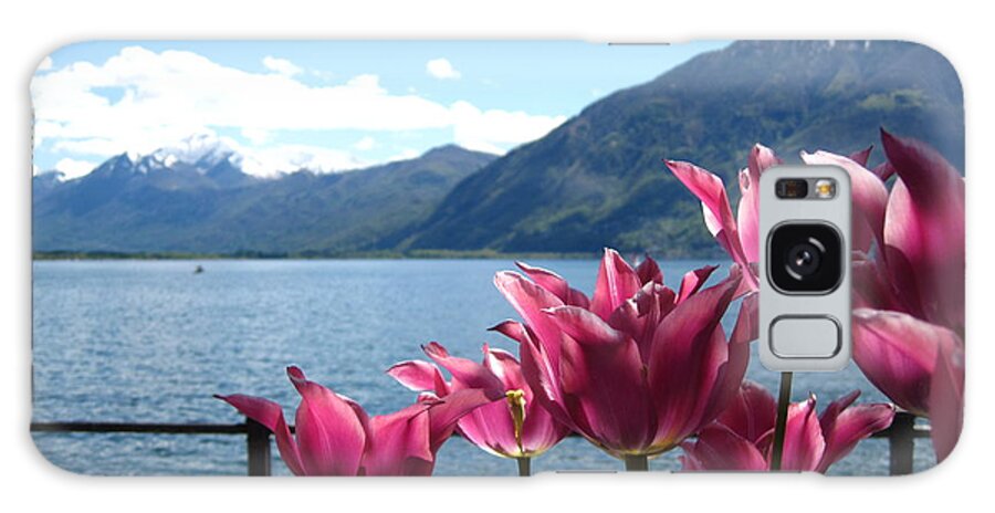 Sky Galaxy Case featuring the photograph Tulips at Lake Geneva by Amanda Mohler
