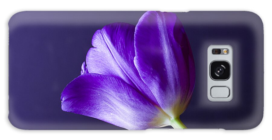 Blossom Galaxy Case featuring the photograph Tulips Bloom As They Are Told by Christi Kraft