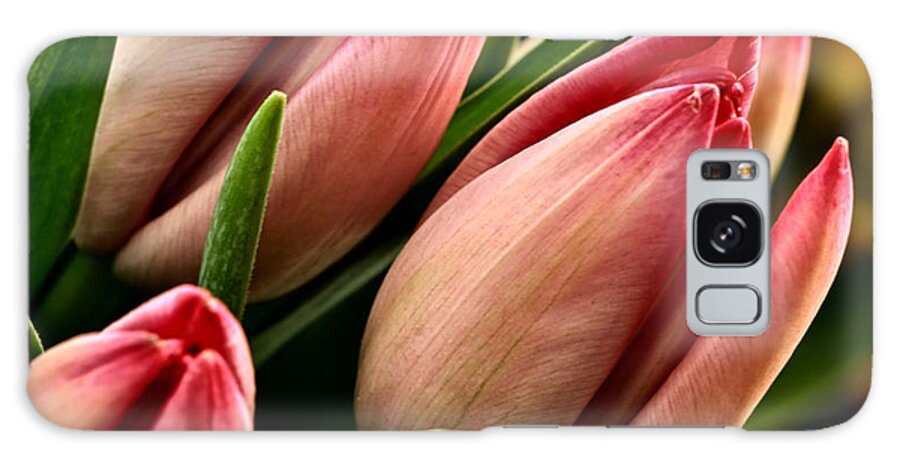 Tulips Galaxy S8 Case featuring the photograph Tulips by David Kay