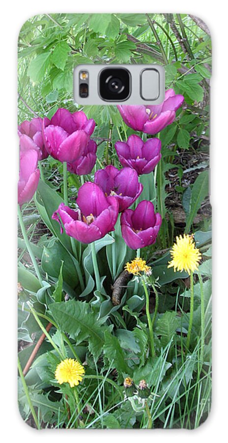 Flower Galaxy Case featuring the photograph Tulips in summer by Cindy Murphy - NightVisions 