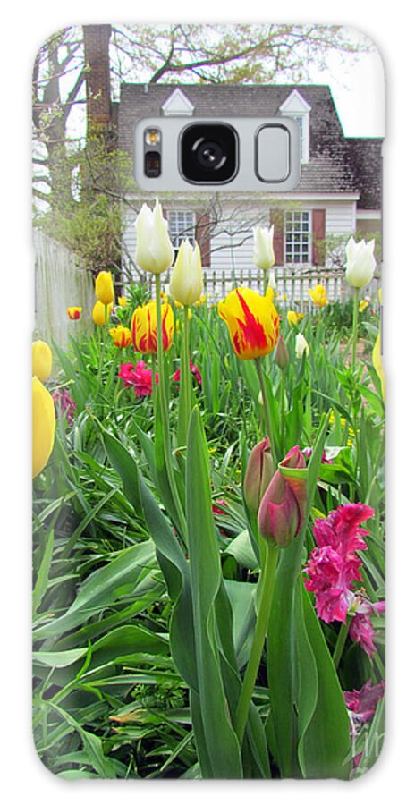 Elizabeth Dow Galaxy Case featuring the photograph Tulips in Williamsburg by Elizabeth Dow