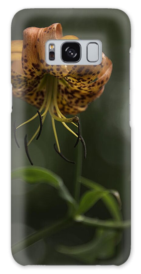 Blue Ridge Mountains Galaxy Case featuring the photograph Turks Cap 0002 by Donald Brown
