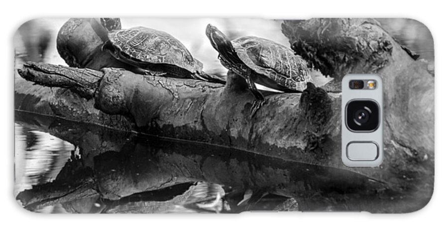 Turtles Galaxy Case featuring the photograph Turtle BFFs BW By Denise Dube by Denise Dube