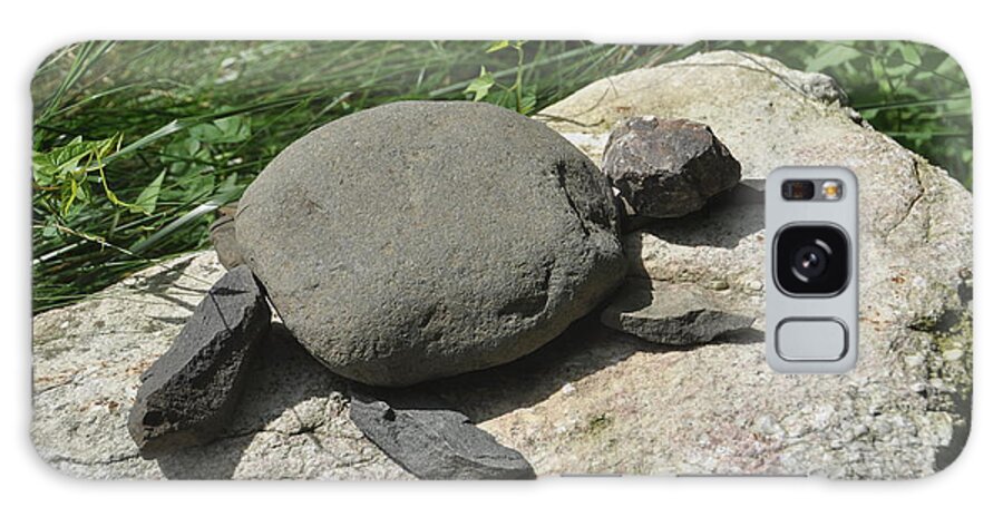 Stone Turtle Galaxy Case featuring the photograph Turtle's Rock by Cornelia DeDona