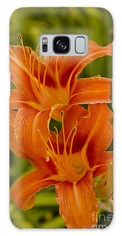 Lily Galaxy S8 Case featuring the photograph Twin Orange Trumpet Lilies by Mary Jane Armstrong