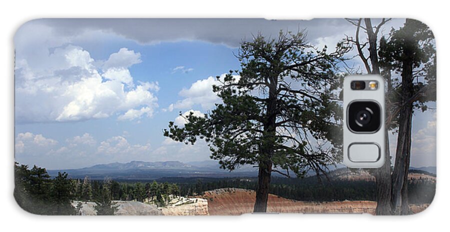 Ponderosa Pines Galaxy Case featuring the photograph Twin Pines by Joseph G Holland