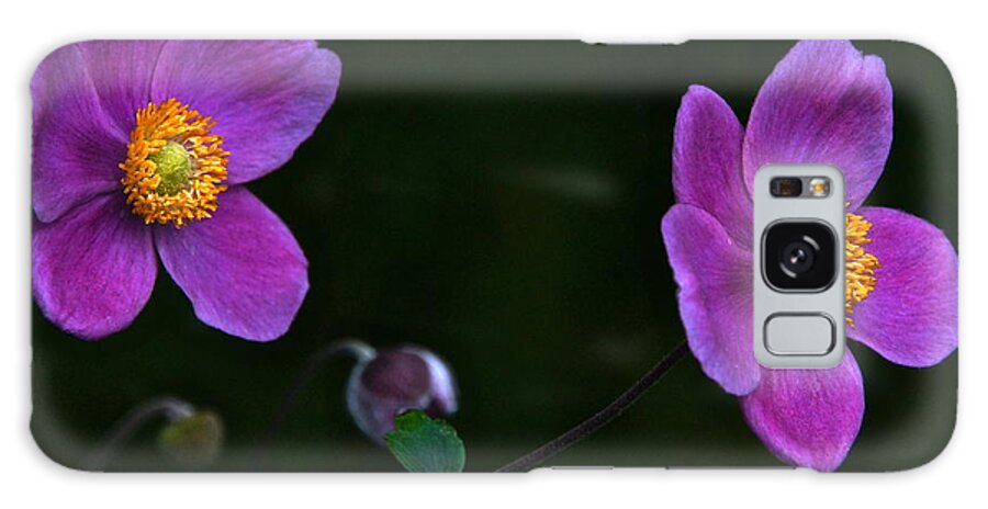 Anemone Galaxy Case featuring the photograph Twins In Jade Gold And Purple Velvet by Byron Varvarigos