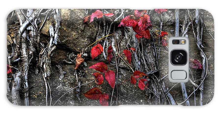 Leaves Galaxy Case featuring the photograph Twisted Red by Craig Burgwardt